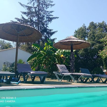 Mas Des Vignes Piscine Chauffee Bed and Breakfast Le Champ-Saint-Pere Eksteriør billede