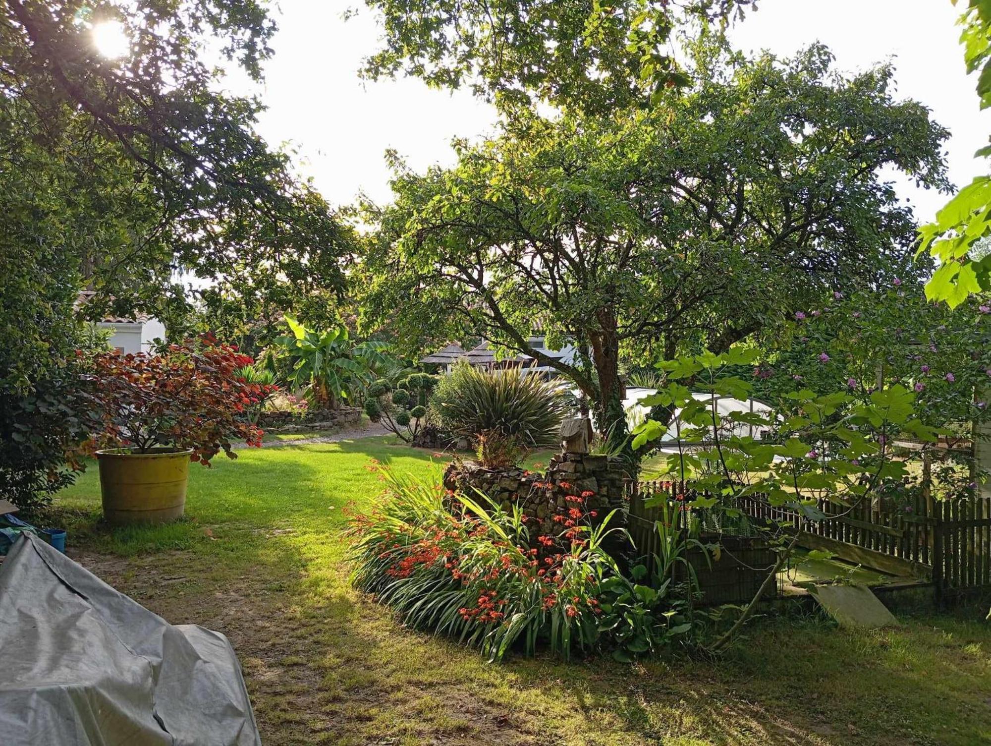 Mas Des Vignes Piscine Chauffee Bed and Breakfast Le Champ-Saint-Pere Eksteriør billede